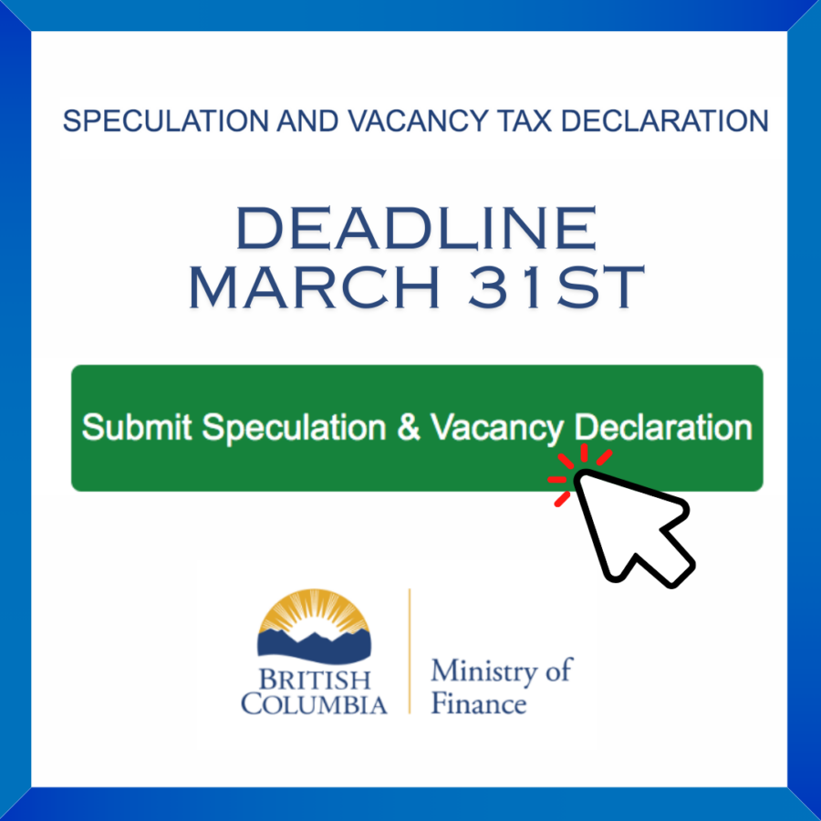 File your Speculation & Vacancy Tax declaration